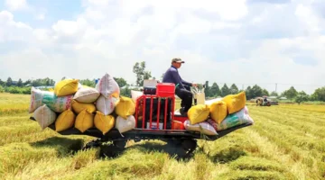 تمويلات زراعية جديدة.. خطة دعم المزارعين لزيادة كفاءة الإنتاج المحلي في مصر
